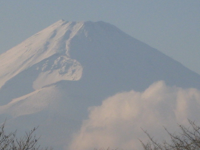 ファイル 539-1.jpg