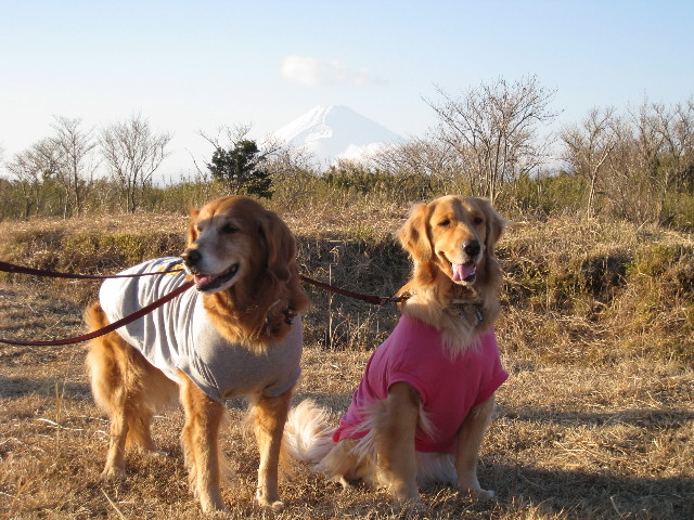 ファイル 539-3.jpg