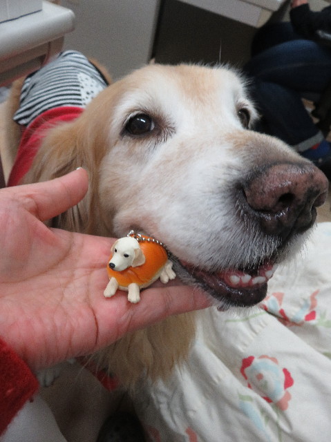 ファイル 5393-2.jpg