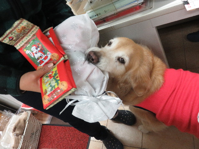 ファイル 5394-1.jpg