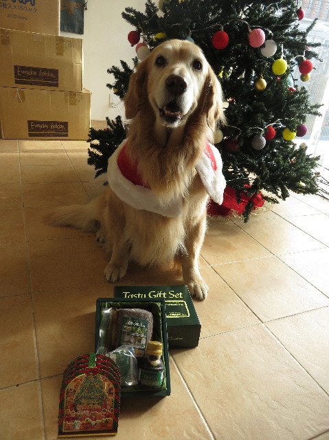 ファイル 5394-3.jpg