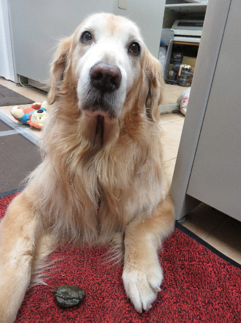 ファイル 5395-2.jpg