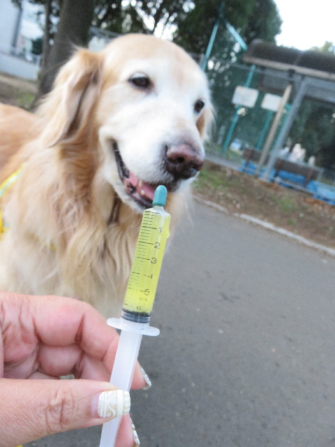 ファイル 5396-3.jpg