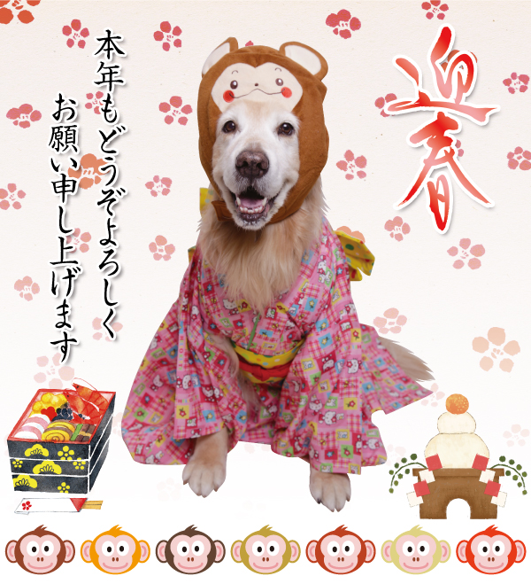 ファイル 5397-1.jpg