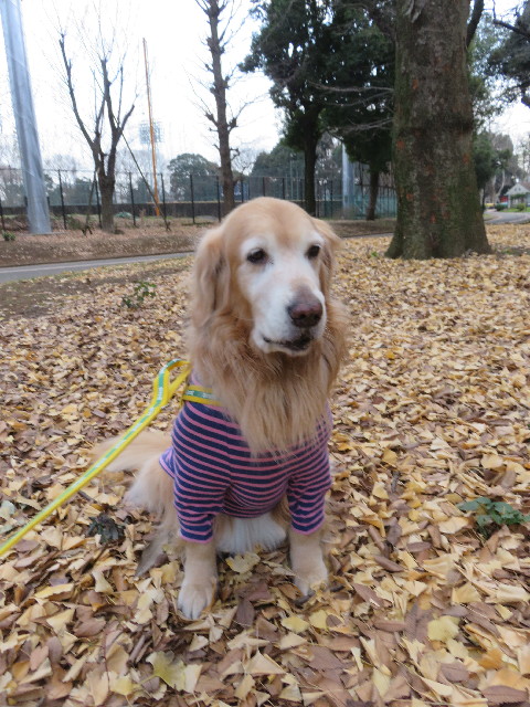 ファイル 5399-2.jpg