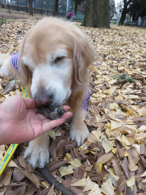 ファイル 5399-3.jpg