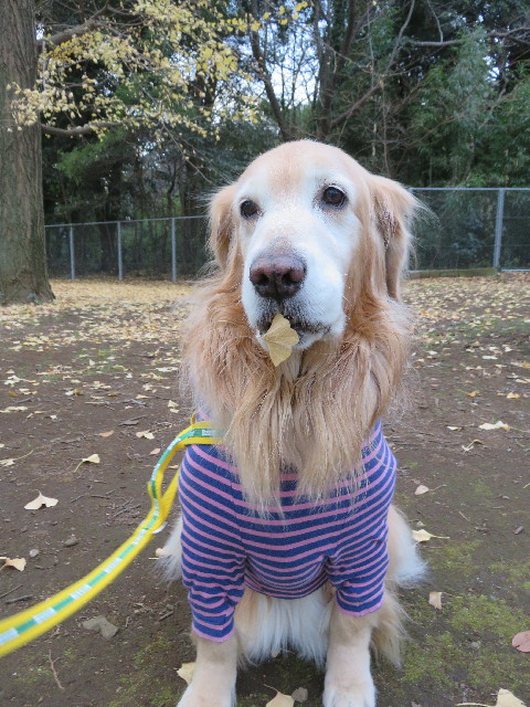 ファイル 5399-4.jpg