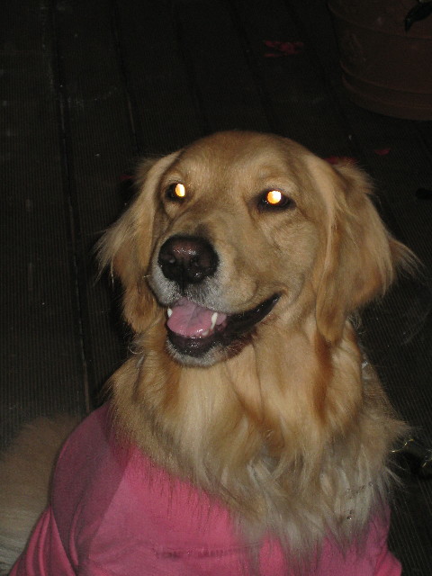 ファイル 540-5.jpg