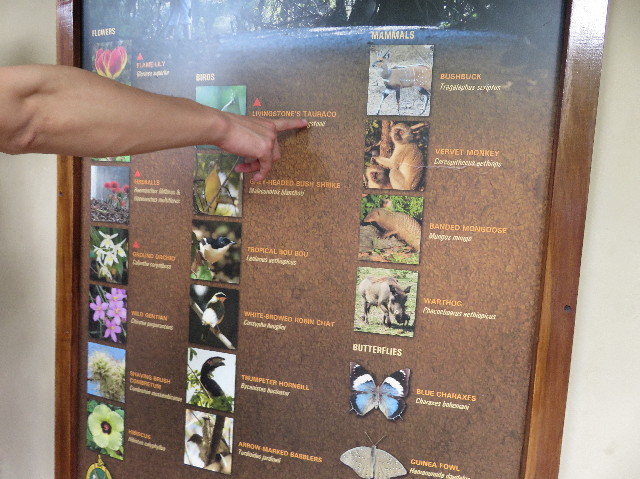 ファイル 5401-3.jpg