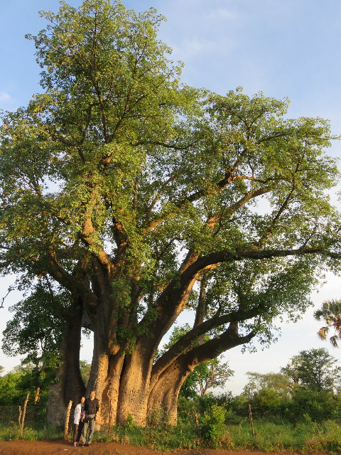 ファイル 5403-4.jpg