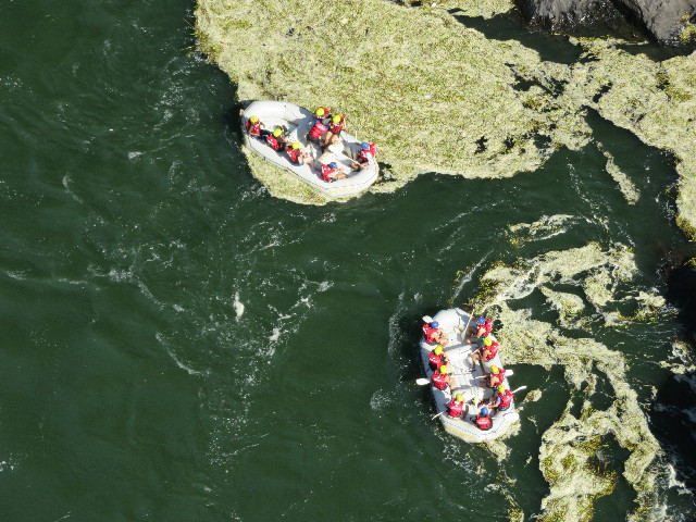 ファイル 5408-4.jpg