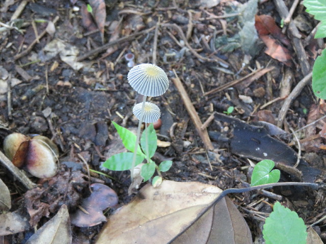 ファイル 5409-3.jpg