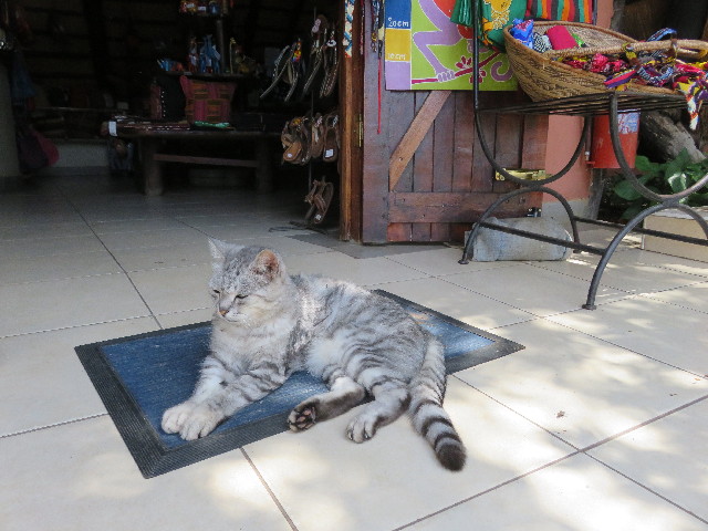 ファイル 5409-5.jpg