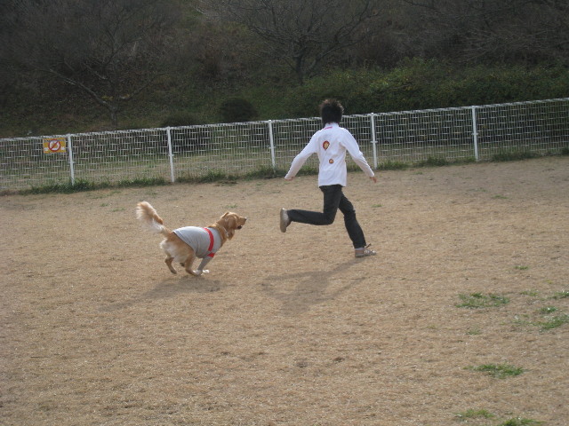 ファイル 541-1.jpg