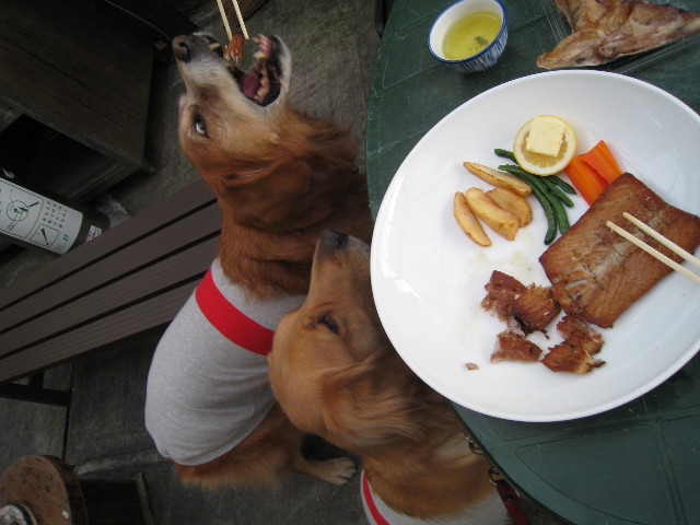 ファイル 541-4.jpg