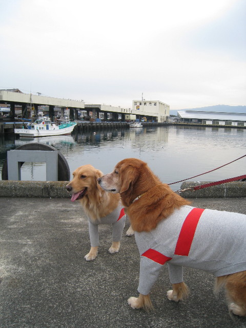 ファイル 541-5.jpg