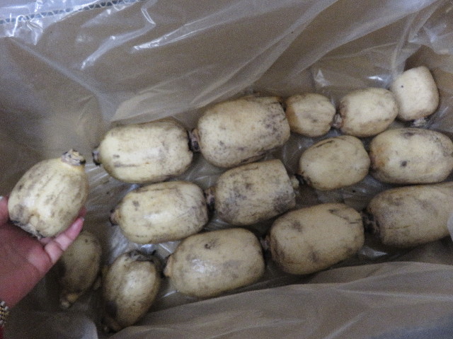 ファイル 5413-2.jpg