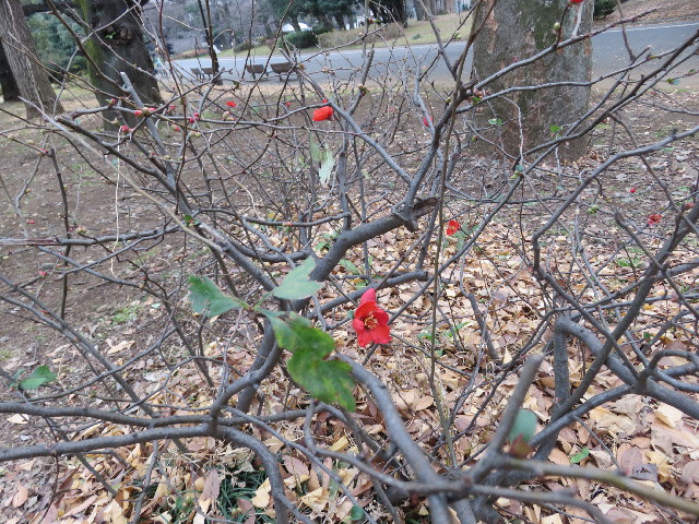 ファイル 5413-5.jpg