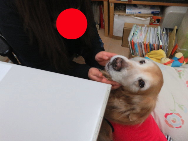 ファイル 5414-2.jpg