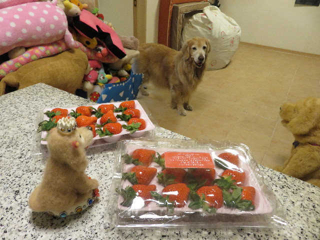 ファイル 5423-4.jpg