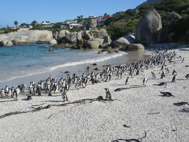 ファイル 5425-1.jpg