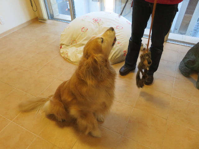 ファイル 5429-1.jpg