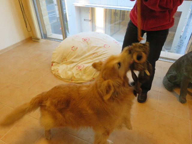 ファイル 5429-2.jpg