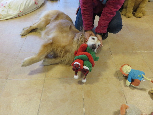 ファイル 5429-3.jpg