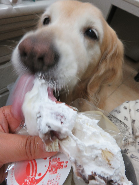 ファイル 5429-5.jpg