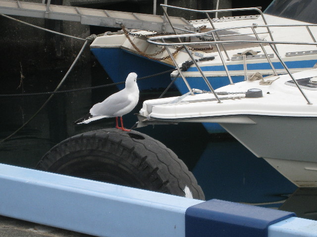 ファイル 543-4.jpg