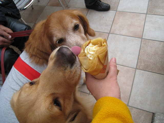 ファイル 543-5.jpg