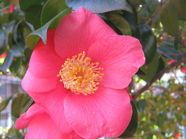 ファイル 5438-2.jpg