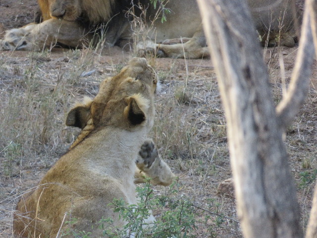 ファイル 5440-4.jpg