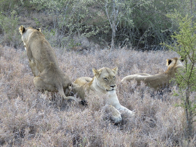 ファイル 5440-5.jpg