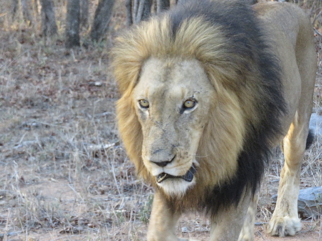 ファイル 5442-5.jpg