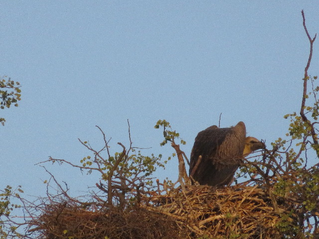 ファイル 5443-5.jpg