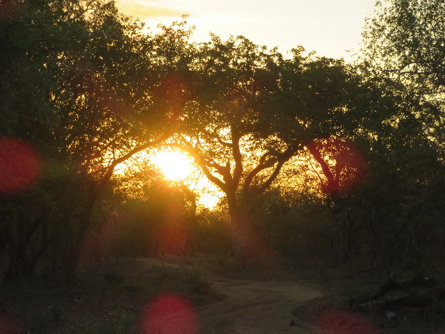 ファイル 5444-3.jpg