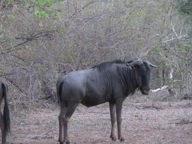 ファイル 5445-4.jpg