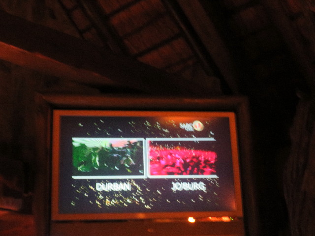 ファイル 5447-5.jpg