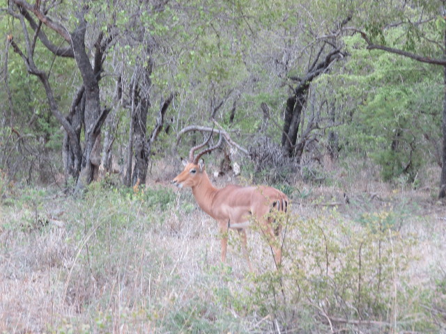 ファイル 5452-4.jpg