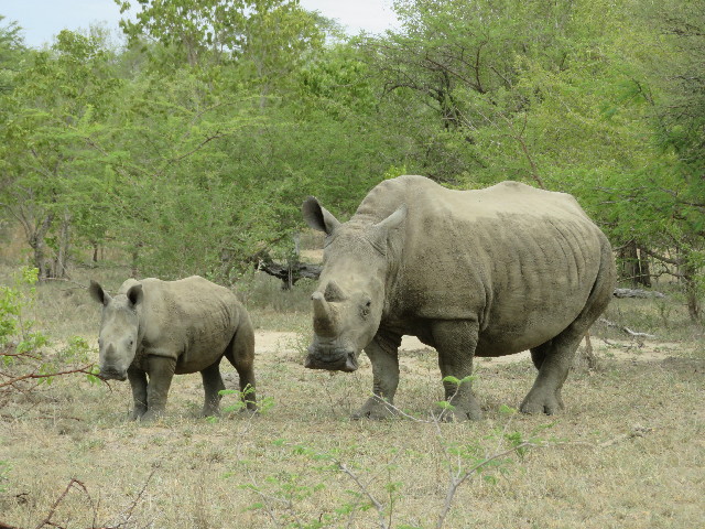 ファイル 5454-3.jpg