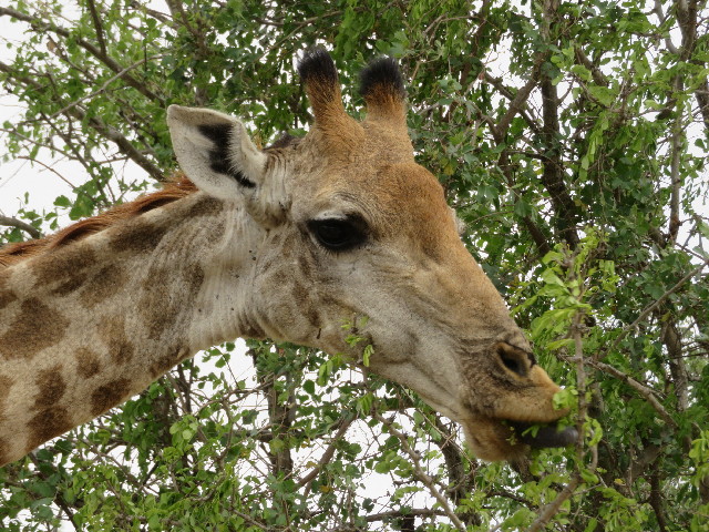 ファイル 5455-4.jpg