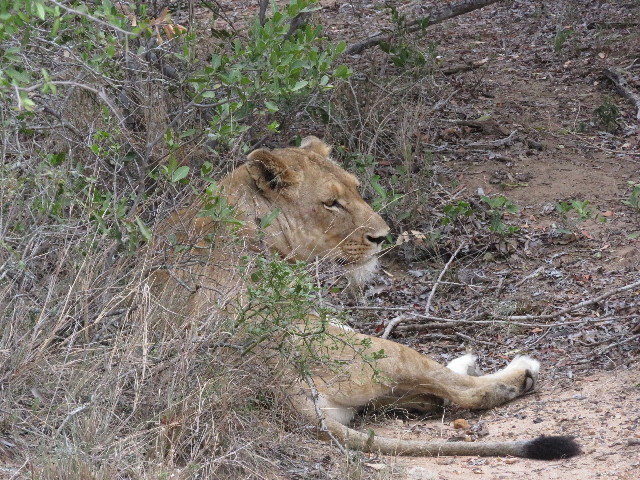 ファイル 5457-2.jpg