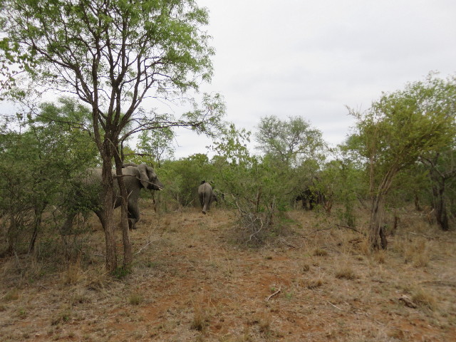 ファイル 5459-4.jpg