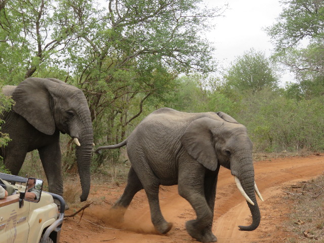 ファイル 5460-1.jpg