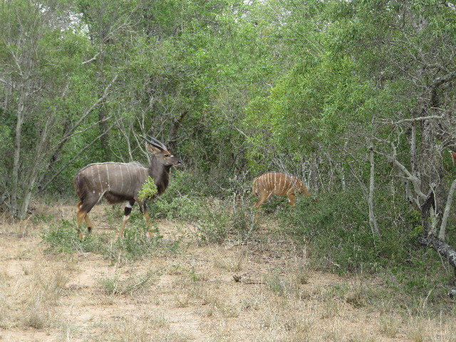 ファイル 5461-4.jpg