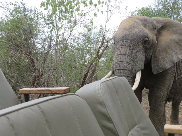 ファイル 5465-1.jpg