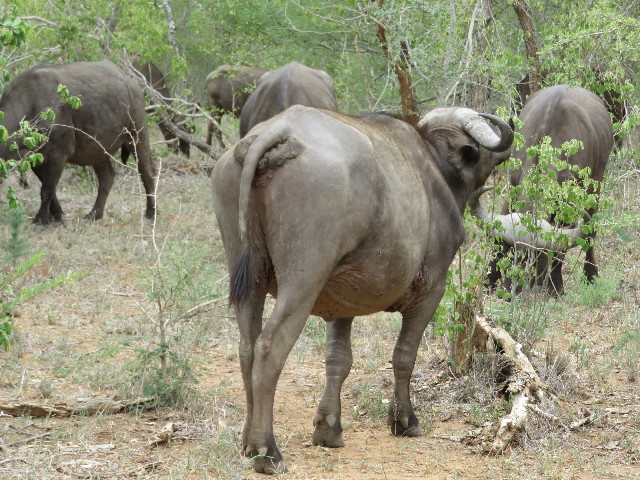 ファイル 5467-4.jpg