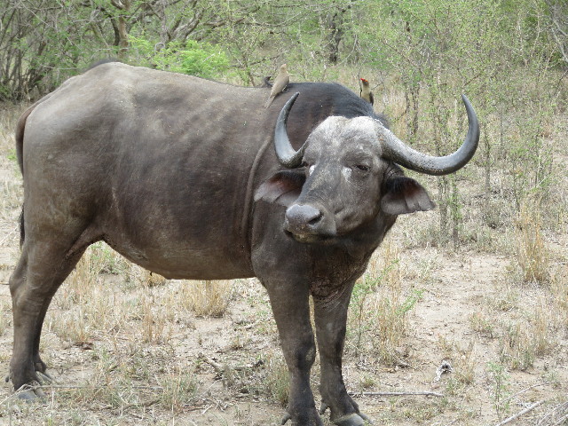 ファイル 5468-5.jpg