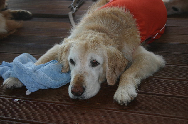 ファイル 5469-2.jpg